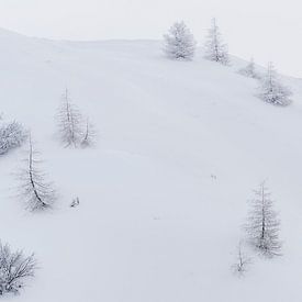 Weisse Welt I von Rainer Mirau