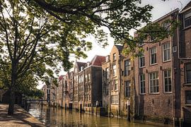 Dordrecht dans toute sa splendeur !