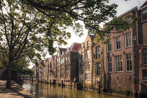 Dordrecht op zijn mooist!