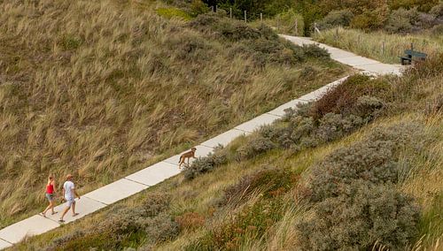 Wandelaars in de duinen