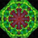 Red And Green Kaleidoscope by Dorothy Berry-Lound thumbnail