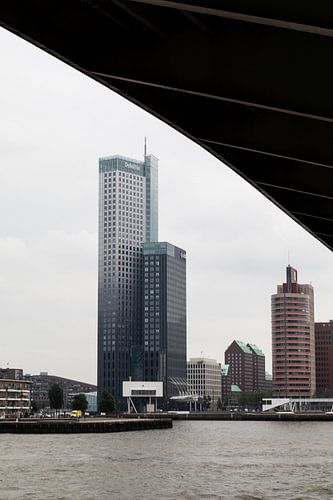 rotterdam