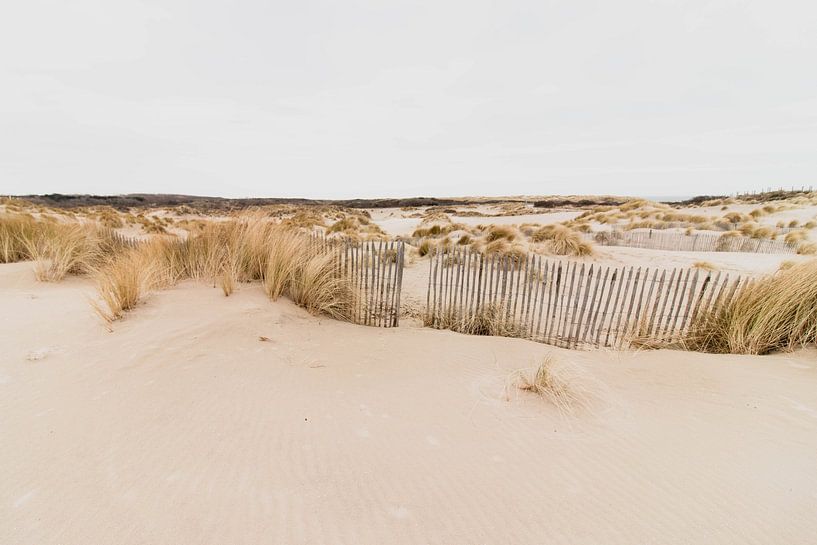 Duinen in het Westduinpark in Scheveningen van Anne Zwagers