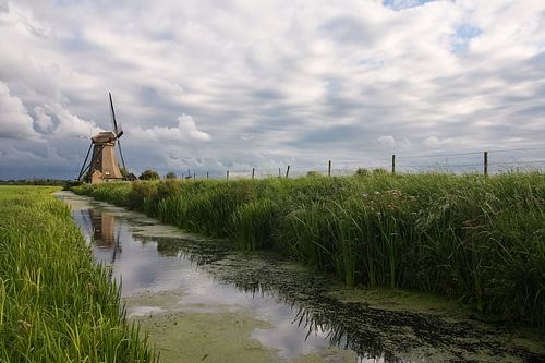 kinderdijk landschap