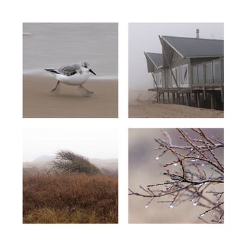 Texel en quatre parties, plage, dunes et oiseaux sur Monique Giling