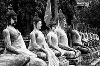 Buddha van Bas Bakema thumbnail