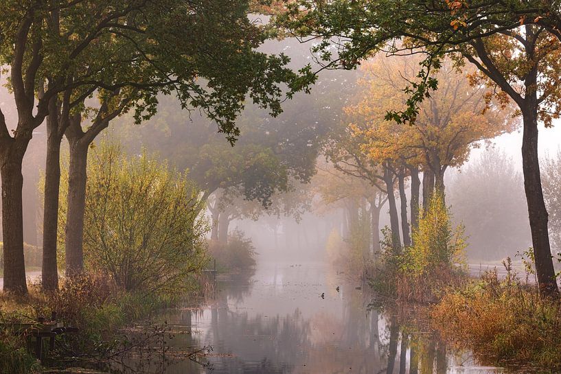 Autumn in the Groninger Veenkoloniën by Marga Vroom