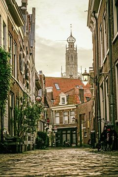 Haarlem op zijn mooist! van Dirk van Egmond