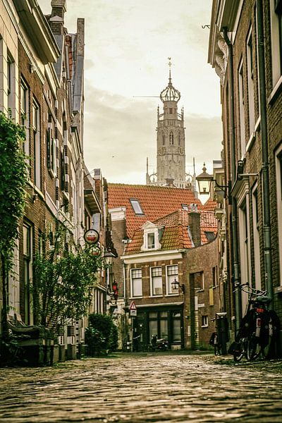 Haarlem von seiner schönsten Seite! von Dirk van Egmond