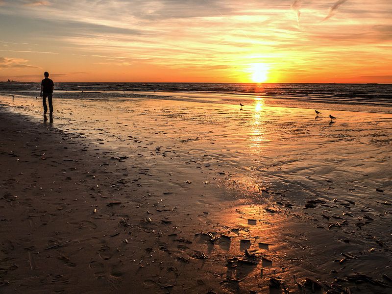Eenzame wandelaar 's avonds aan het strand van Anneriek de Jong