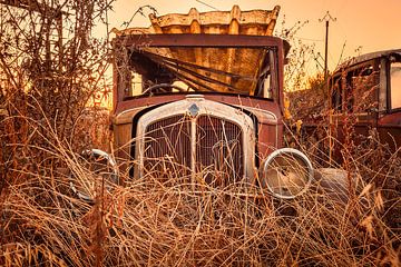 Renault Oldtimer van Halma Fotografie