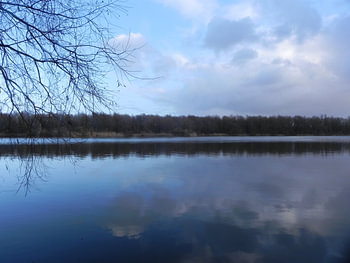 Wolken en bomen weerspiegeld in het water in de bossen van Flevoland