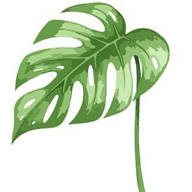 Monstera – Botanik in weißer Stille 01 von AidasignArt