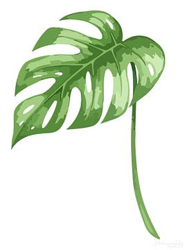 Monstera – Botanica in witte stilte 01