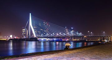 Erasmusbrug bij nacht in Rotterdam