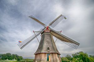 Reusachtige molen van Mark Bolijn