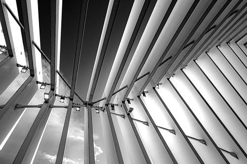 Calatrava Lijnenspel