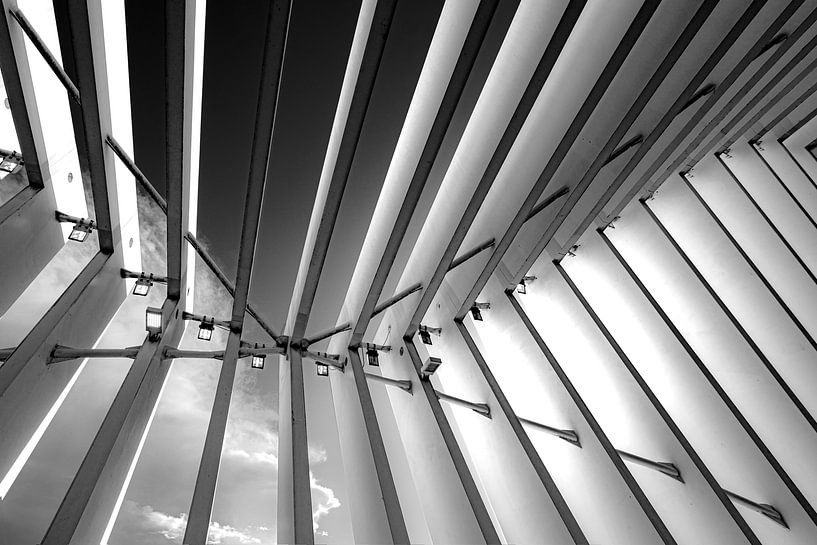 Lignes Calatrava par Frans Nijland