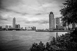Skyline de Rotterdam sur SVPhotographie