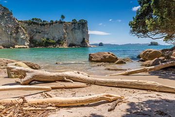 Strand Stingray Bay, Coromandel, Nieuw Zeeland van Troy Wegman