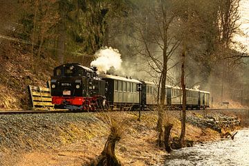 Fichtelbergbahn Erzgebirge van Johnny Flash