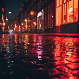 Rood Licht op Nat Steen van Franka Poulain