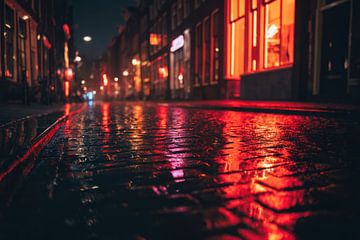 Rood Licht op Nat Steen van Franka Poulain