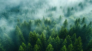 Le souffle de la forêt sur ByNoukk