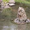 ZEN - stone in water by whmpictures .com