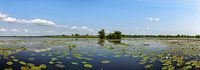 Panorama de Wieden en été par Sjoerd van der Wal Photographie Aperçu