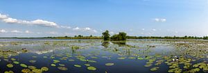 Wieden panorama during summer