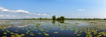 Wieden panorama during summer by Sjoerd van der Wal Photography