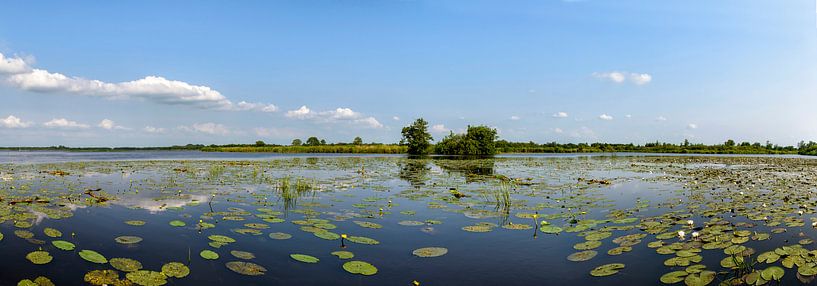 Panorama de Wieden en été par Sjoerd van der Wal Photographie