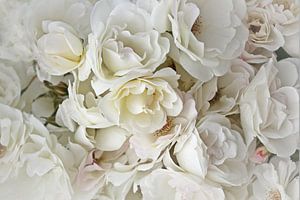 White Roses ( witte rozen ) van Yvonne Blokland