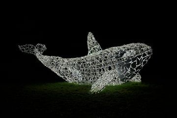 Walvis als verlichte decoratie op een weiland