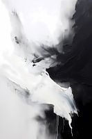Abstract schilderij monochroom, zwart wit