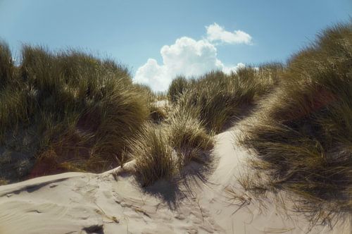 The Dunes of Schiermonnikoog