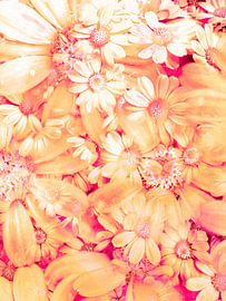 flowerPower