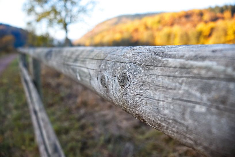 Old fence by Carole Winchester
