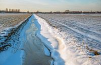 Bevroren sloot in besneeuwd Nederlands landschap van Ruud Morijn thumbnail