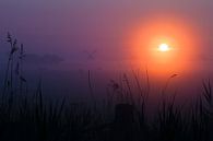 Molen in de mist tijdens zonsopkomst van Mark Scheper thumbnail