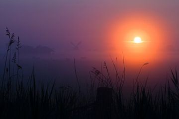 Niederländische Windmühle im Nebel während des Sonnenaufgangs.  von Mark Scheper