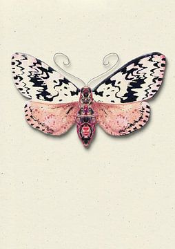 SpikkelCream mot met schaduw insecten illustratie van Angela Peters