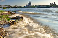 Cologne sur le Rhin
