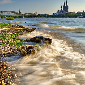 Köln am Rhein von 77pixels