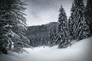 Bavarian Winter's Tale VI van Melanie Viola