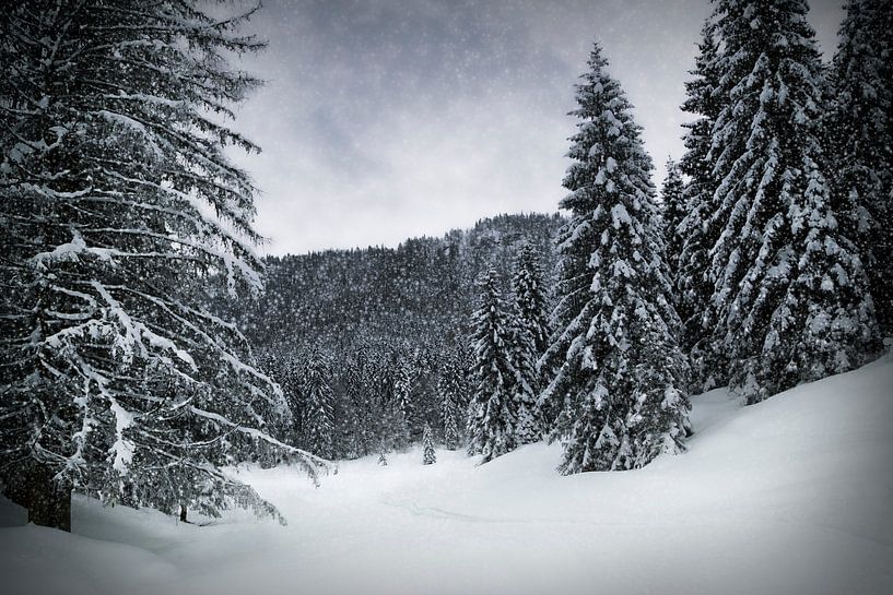 Wintersprookje HEMMERSUPPENALM VI van Melanie Viola