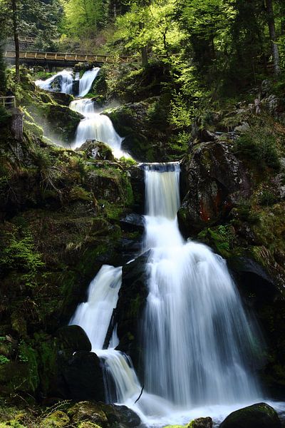 Chutes d'eau de Triberg par Robbert Strengholt