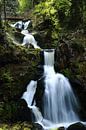 Chutes d'eau de Triberg par Robbert Strengholt Aperçu