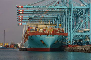 Mega-sized container ship the Mette Maersk. by Jaap van den Berg